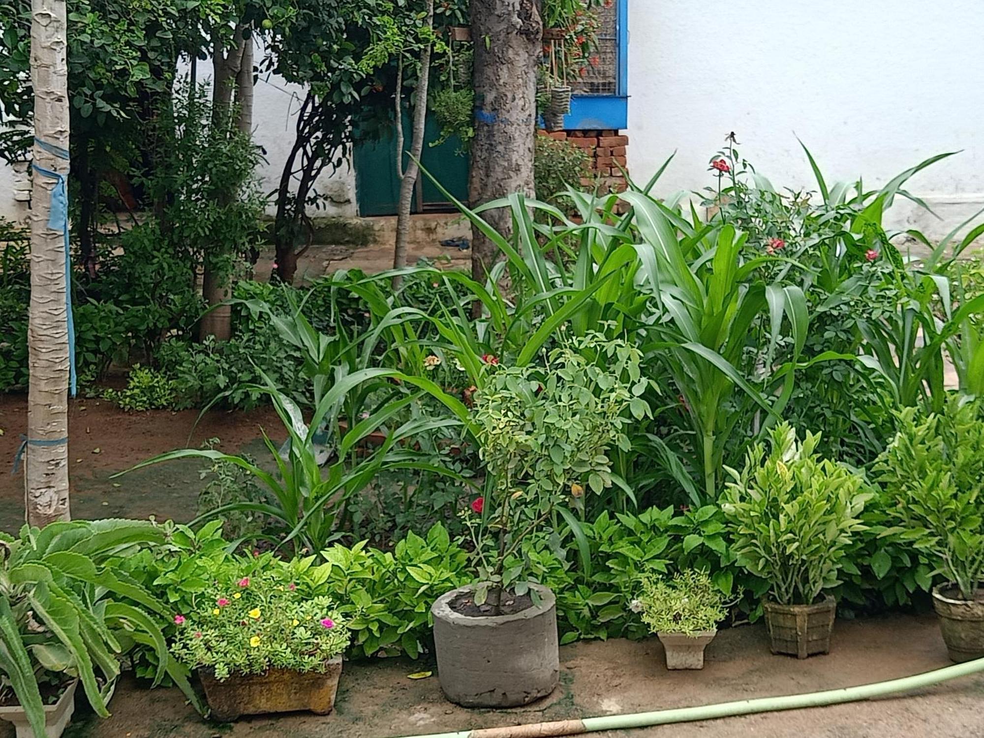 Khajuraho Rancho Apartment Luaran gambar