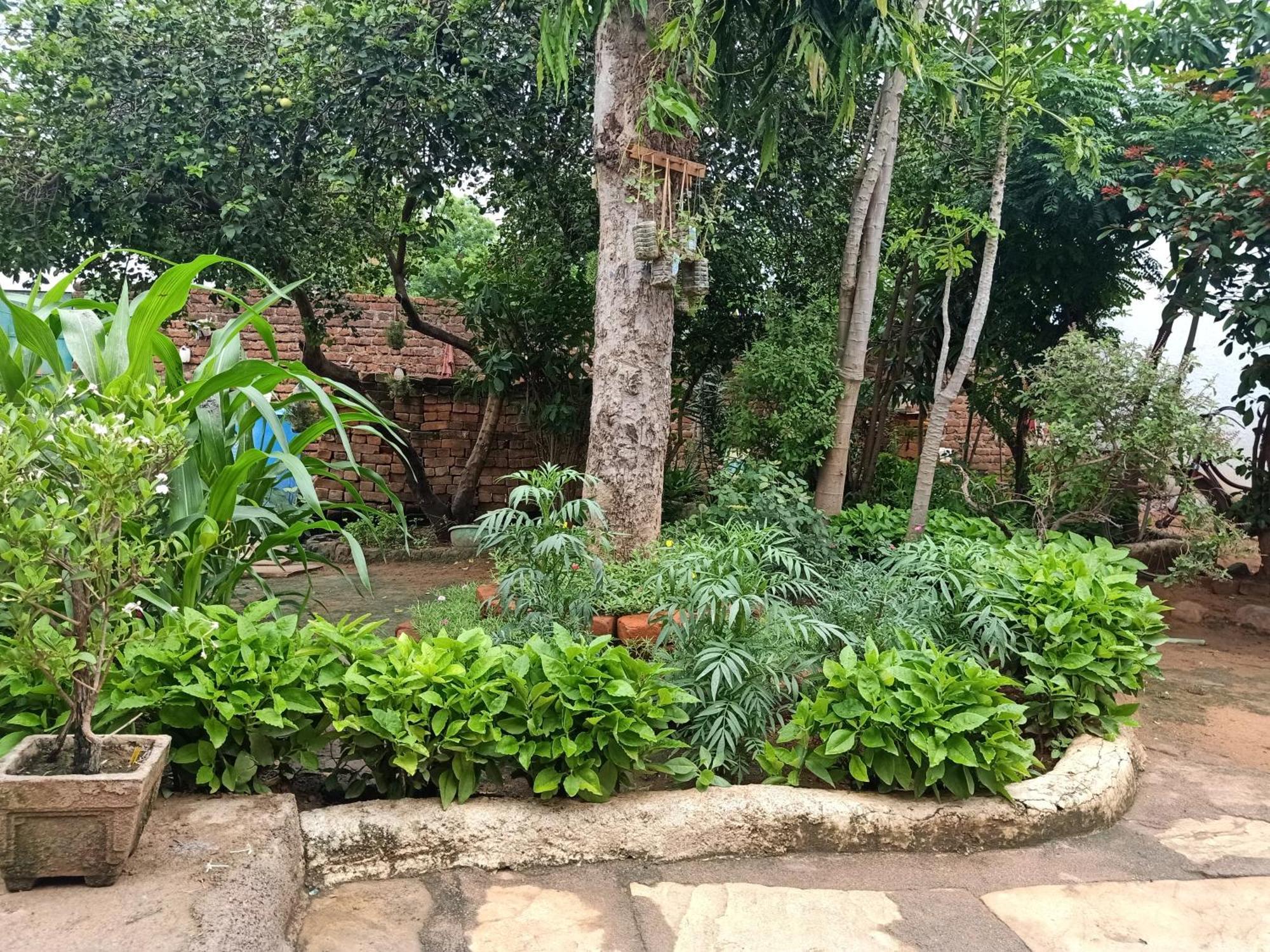 Khajuraho Rancho Apartment Luaran gambar