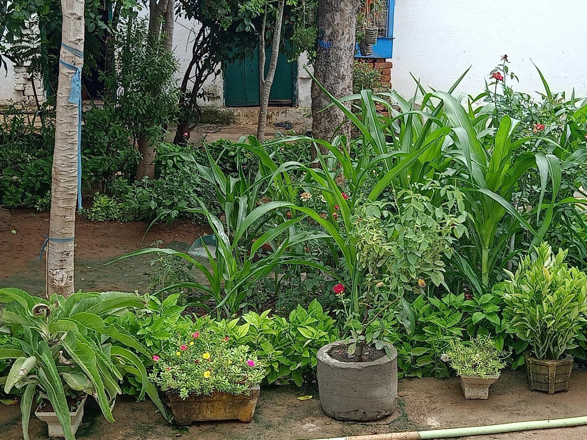 Khajuraho Rancho Apartment Luaran gambar