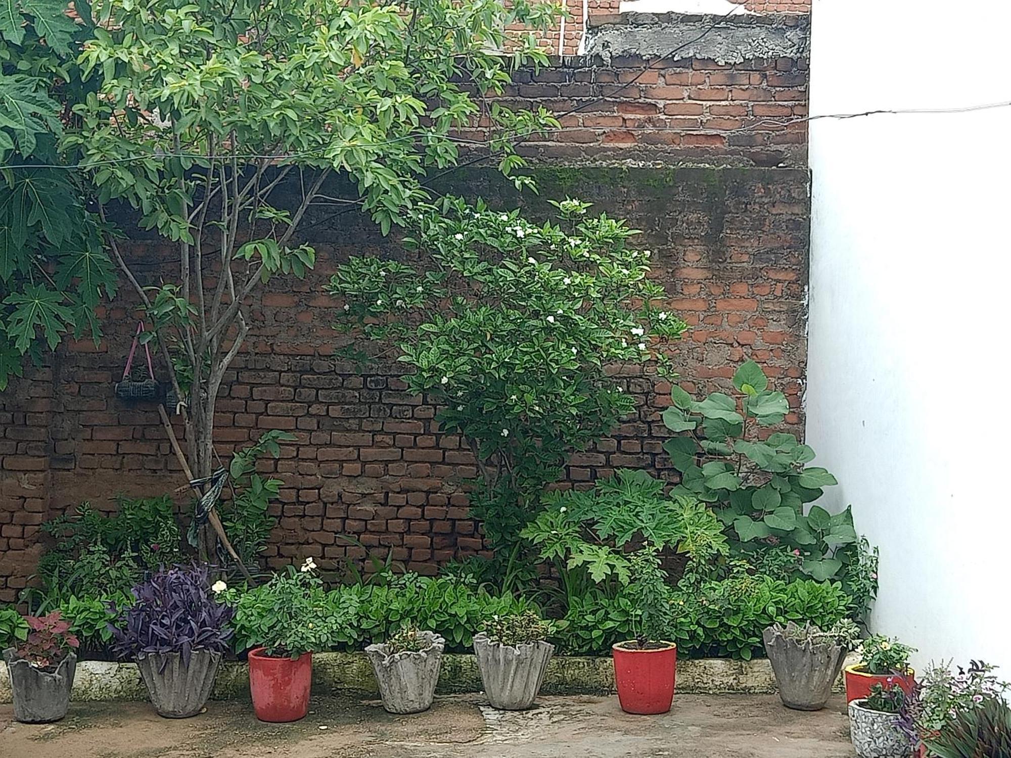 Khajuraho Rancho Apartment Luaran gambar