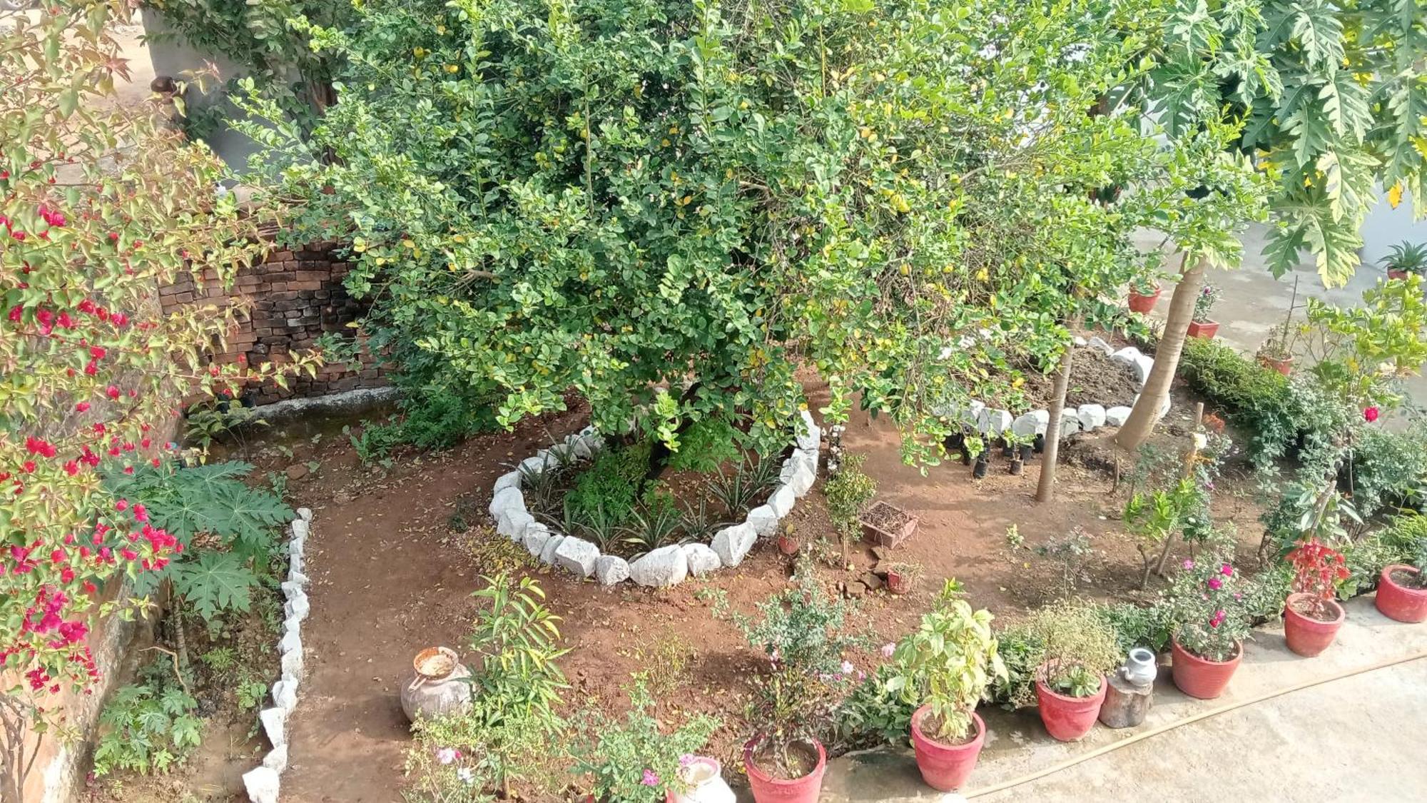Khajuraho Rancho Apartment Luaran gambar